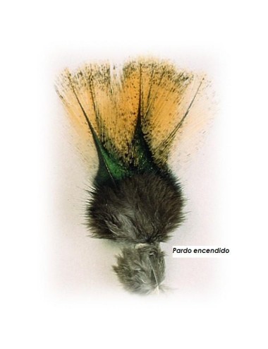 Pardo de gallo leones