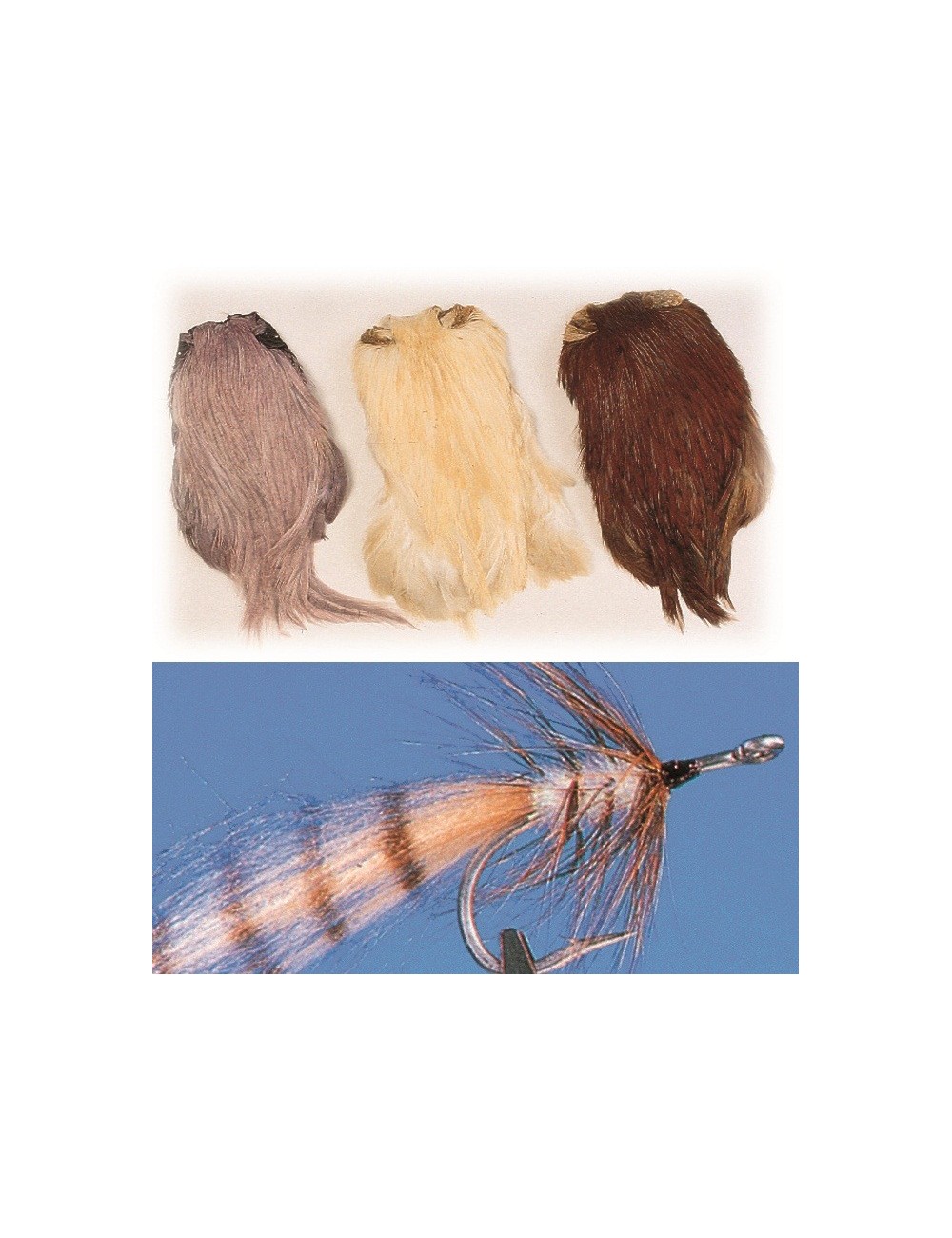 Cuellos gallos std colores naturales