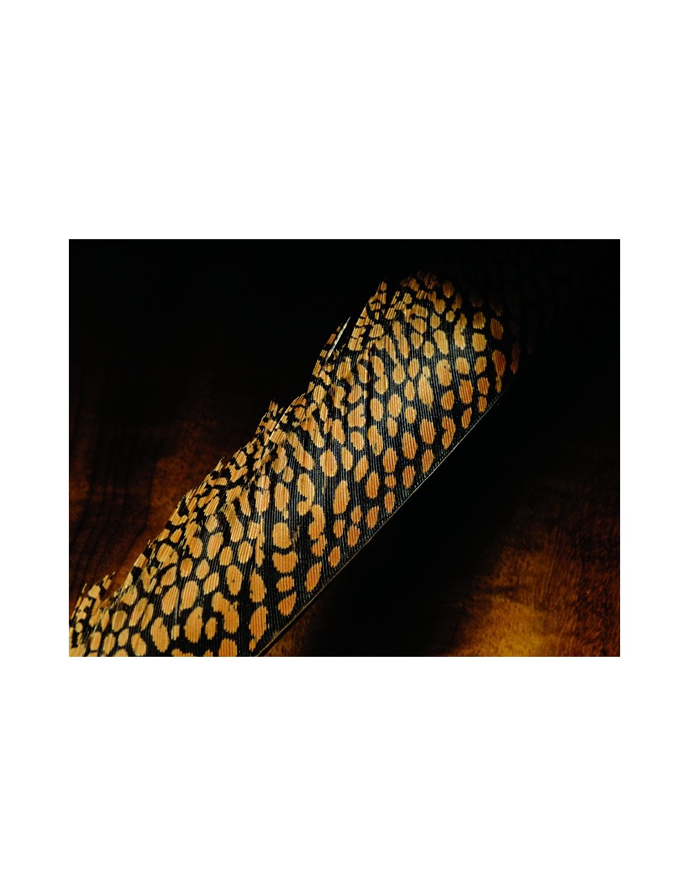 colas-de-faisan-dorado