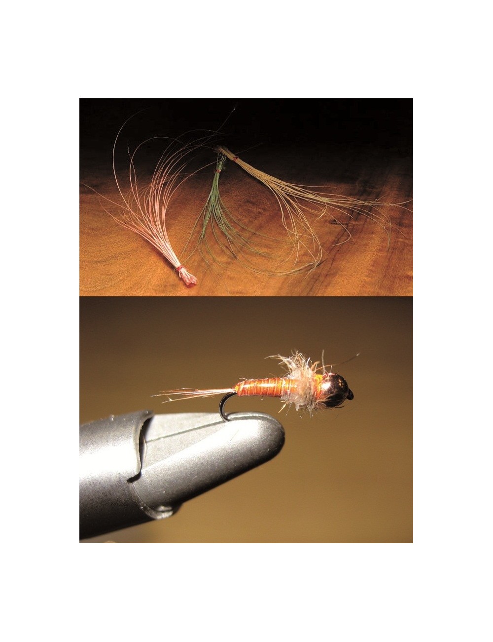 Quill Body