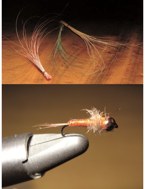 Quill Body