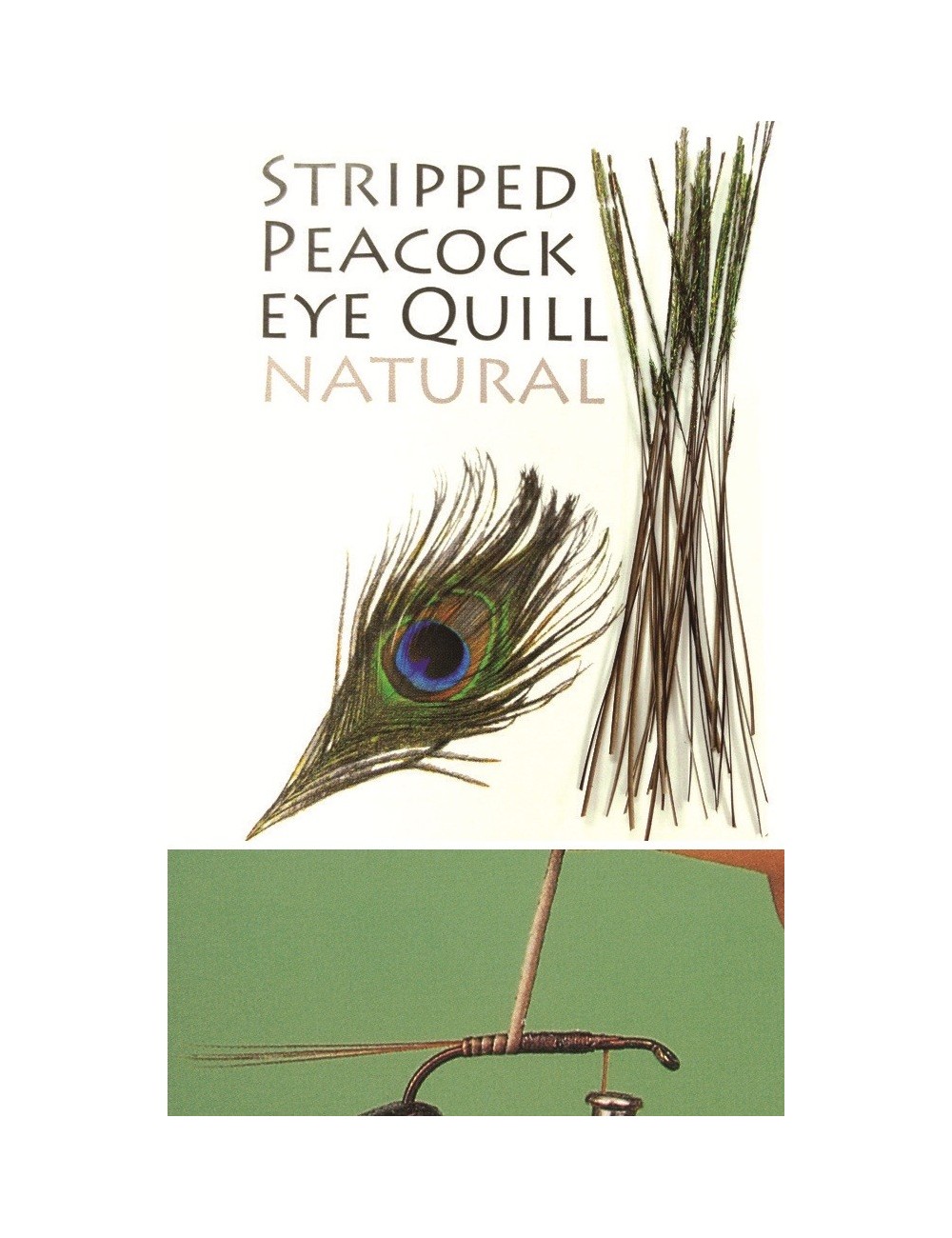 Quill de Pavo Real desbarbado y teñido