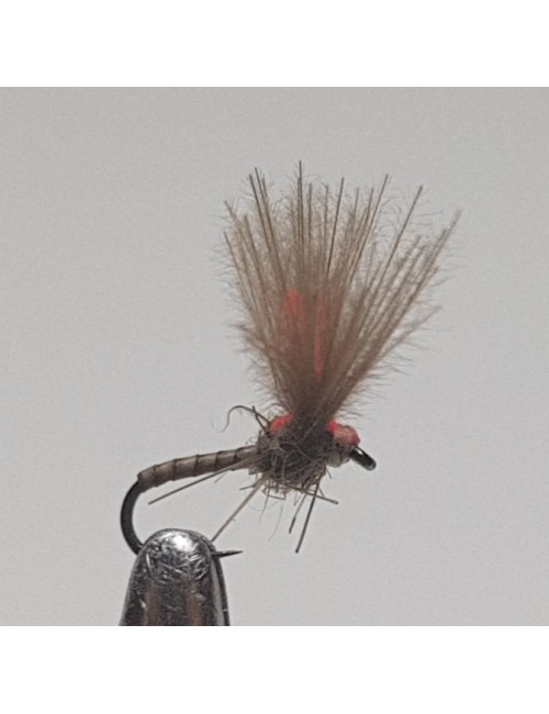 Moscas Castor S-45