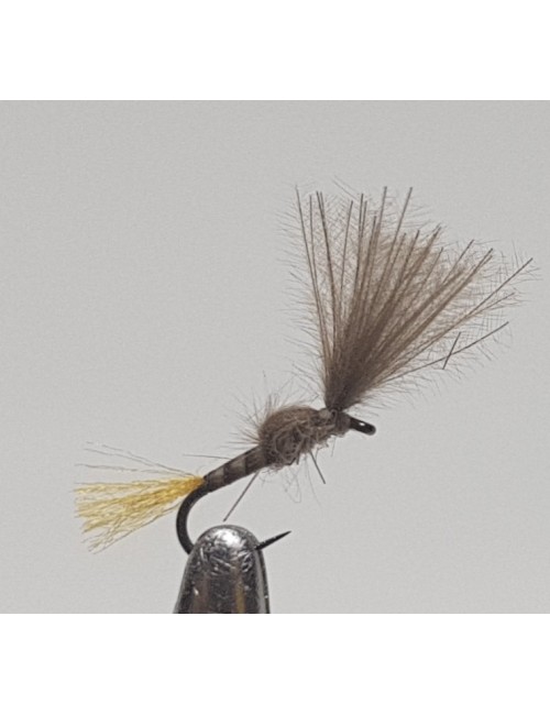 Moscas Castor S-47