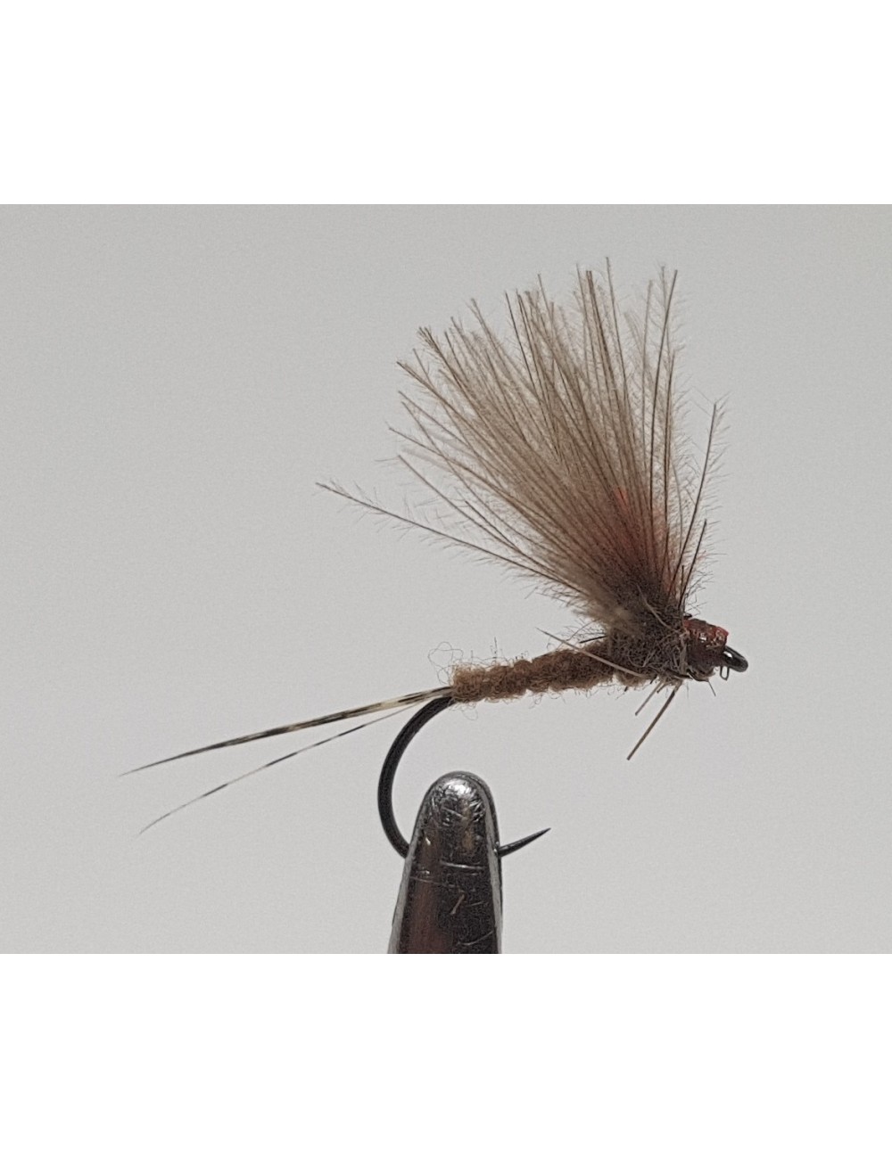 Moscas Castor S-50