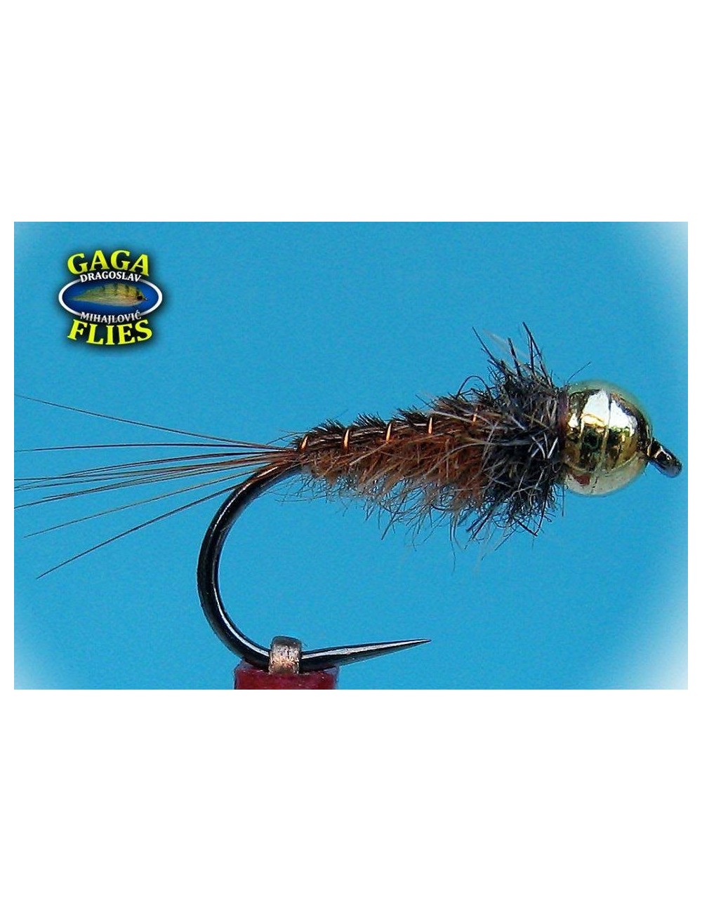 Moscas colección Gaga G-12