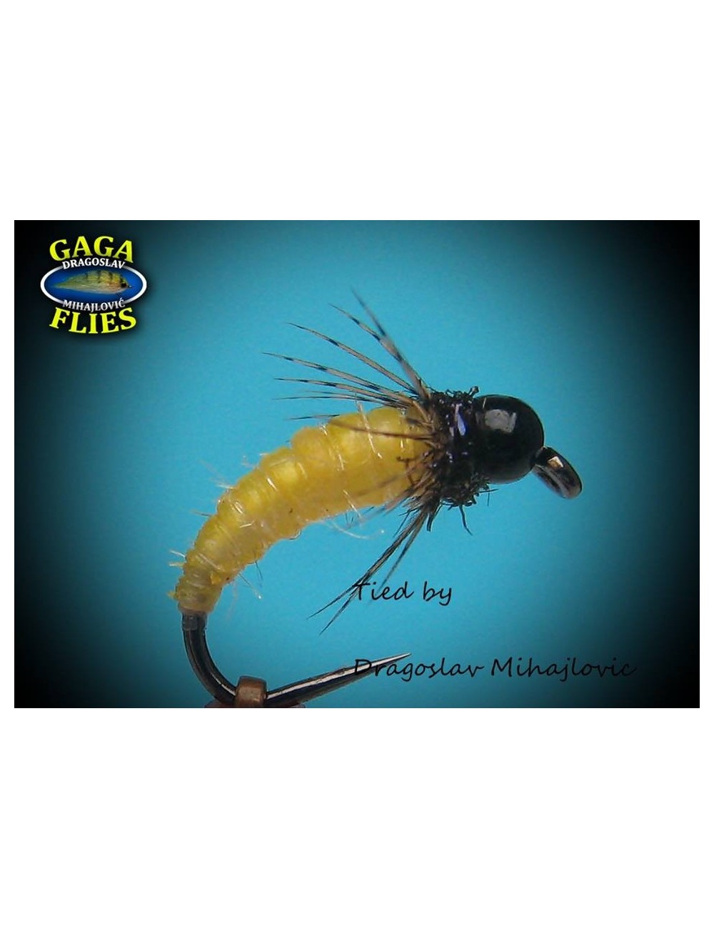 Moscas colección Gaga G-13