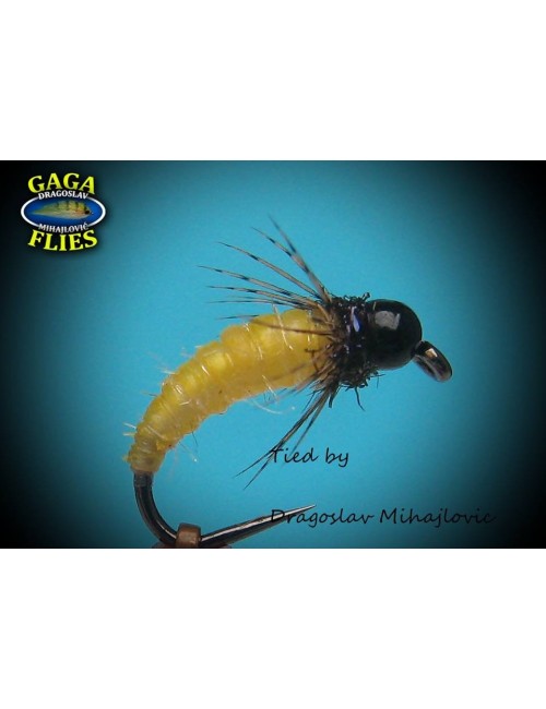 Moscas colección Gaga G-13