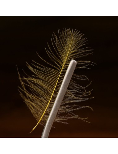 PINZA HARELINE MMC