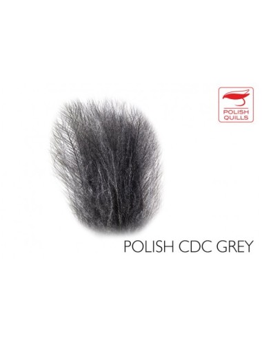CDC Plumas de culo de pato Polish