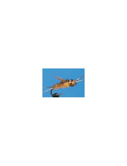 Moscas Castor U-70