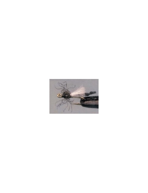 Moscas Castor U-82