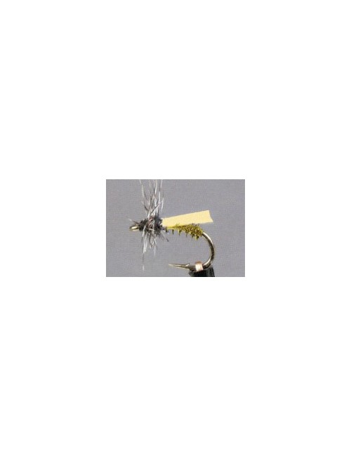 Moscas Castor U-84