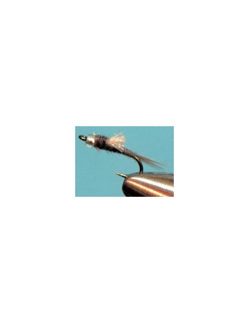 Moscas Castor U-98